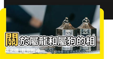 龍狗結婚化解|狗和龍的兼容性：生肖特質和愛情兼容性